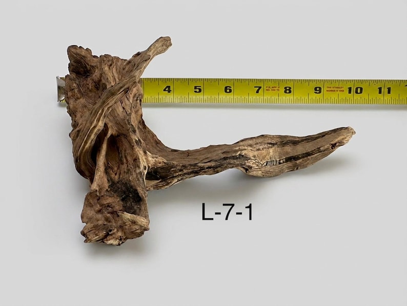 May include: A piece of brown driftwood with a textured, weathered surface and irregular branches. A yellow measuring tape is positioned behind the wood, showing a length of approximately 8 inches. The text L-7-1 is printed below the driftwood.
