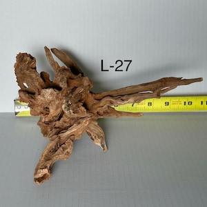 May include: A piece of brown driftwood labeled L-27, featuring a complex, gnarled root structure with multiple pointed branches. A yellow measuring tape is positioned behind the wood, indicating a horizontal span of approximately 13 inches.