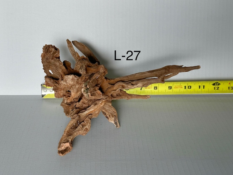 May include: A piece of brown driftwood labeled L-27, featuring a complex, gnarled root structure with multiple pointed branches. A yellow measuring tape is positioned behind the wood, indicating a horizontal span of approximately 13 inches.