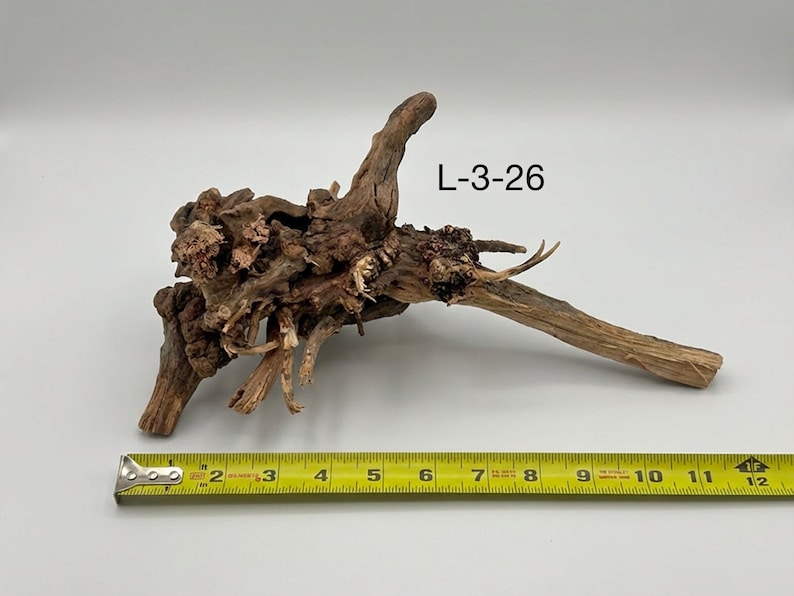 May include: A piece of brown driftwood with a complex, gnarled root structure and a single elongated branch extending to the right. The text L-3-26 is visible above the wood. A yellow measuring tape shows the piece is 12 inches long.