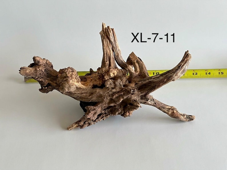 May include: A piece of brown driftwood with a gnarled, textured surface and multiple protruding branches. The text XL-7-11 is visible above the wood. A yellow measuring tape is positioned behind the wood, showing a length of approximately 7 inches.
