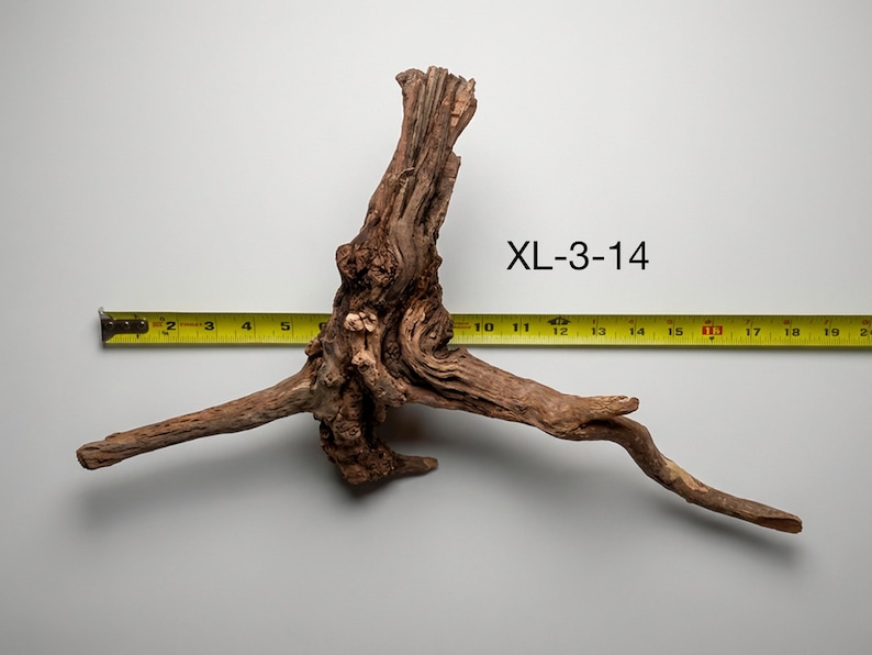 May include: A piece of brown driftwood with a textured, gnarled surface and multiple extending branches. A yellow measuring tape is positioned behind the wood, showing a width of approximately 19 inches. The text XL-3-14 is printed in black.