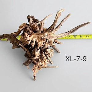 May include: A piece of light brown driftwood with a complex, gnarled root structure. A yellow measuring tape is positioned behind the wood, showing a width of approximately 15 inches. The text XL-7-9 is printed in black on the lower right side.