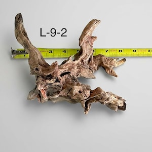 May include: A piece of brown driftwood labeled L-9-2, featuring a complex, gnarled structure with multiple branches. A yellow measuring tape is positioned behind the wood, indicating a horizontal span of approximately 8.5 inches in total length.