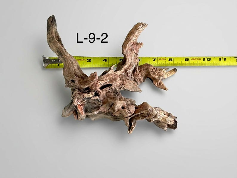 May include: A piece of brown driftwood labeled L-9-2, featuring a complex, gnarled structure with multiple branches. A yellow measuring tape is positioned behind the wood, indicating a horizontal span of approximately 8.5 inches in total length.