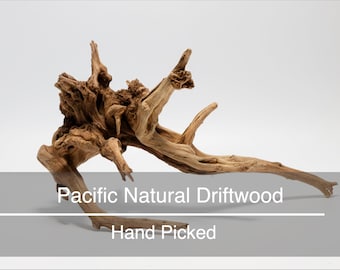 Pacific Natural Driftwood Aquarium Decoration Aquascape Hardscape