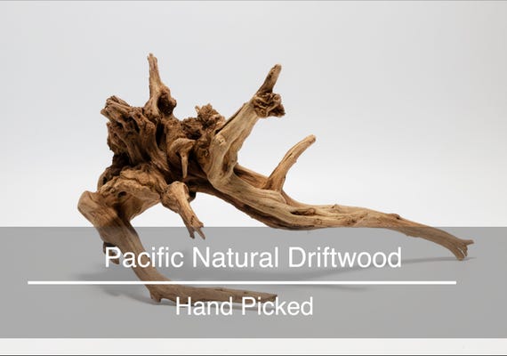 Pacific Natural Driftwood Aquarium Decoration Aquascape Hardscape