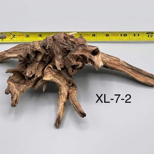 May include: A piece of brown driftwood with a complex, gnarled texture and multiple protruding branches. A yellow measuring tape is positioned above the wood, indicating a width of approximately 11 inches. The text XL-7-2 is printed in black.