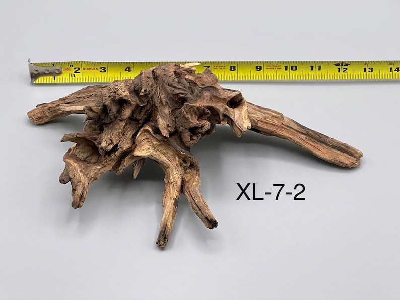 May include: A piece of brown driftwood with a complex, gnarled texture and multiple protruding branches. A yellow measuring tape is positioned above the wood, indicating a width of approximately 11 inches. The text XL-7-2 is printed in black.