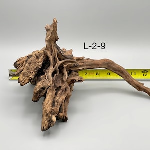 May include: A piece of brown driftwood labeled L-2-9, featuring a complex, gnarled root structure with a long, extending branch. A yellow measuring tape is positioned behind the wood, indicating a width spanning from approximately 7 to 14 inches.