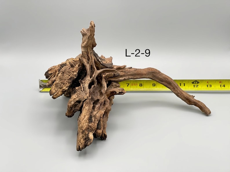 May include: A piece of brown driftwood labeled L-2-9, featuring a complex, gnarled root structure with a long, extending branch. A yellow measuring tape is positioned behind the wood, indicating a width spanning from approximately 7 to 14 inches.