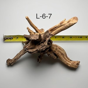May include: A piece of light brown driftwood labeled L-6-7, featuring a complex, gnarled structure with multiple protruding branches. A yellow measuring tape is positioned across the wood, indicating a width of approximately 10 inches.