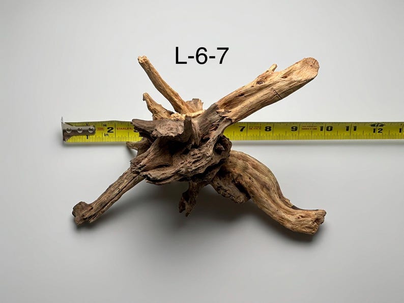 May include: A piece of light brown driftwood labeled L-6-7, featuring a complex, gnarled structure with multiple protruding branches. A yellow measuring tape is positioned across the wood, indicating a width of approximately 10 inches.