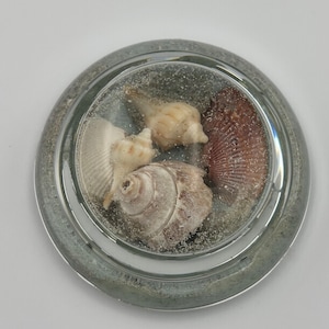 May include: A clear, round glass ashtray filled with sand and several seashells. The seashells are various sizes and colors, including white, tan, and brown. The ashtray has a silver-colored rim.
