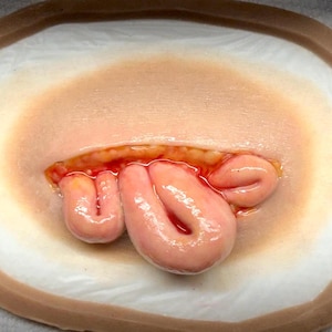 Pre-Painted Silicone Intestinal Wound Prosthetic – Permanent Gloss FX Appliance – Just Glue & Add Blood