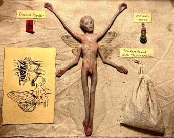 Macabre Fairy Shadowbox – Handgemaakte gotische eigenaardigheid met spreuken en souvenirs