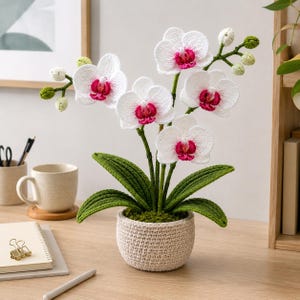 May include: A handcrafted crochet orchid plant in a beige pot. The white flowers have pink and red centers, with green stems and leaves. The pot is filled with green moss. The plant is on a wooden desk with a mug, notebook, and pen.