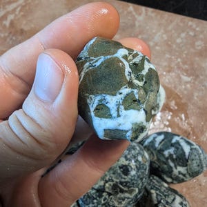 Mixed raw dallasite stones find only on Vancouver Island Canada