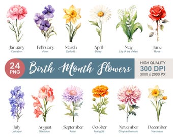 Clipartpakket bloemen geboortemaand: aquarel DIY bloemen, png (digitale download)