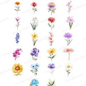 Puede incluir: Una colecci&oacute;n de 22 ilustraciones florales en acuarela, cada una representando una flor diferente. Las flores son de varios colores, incluyendo naranja, rojo, rosa, morado, amarillo y azul. El texto "22 Motive werden verwendet" est&aacute; en la parte superior.