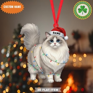 May include: A 2D flat Christmas ornament featuring a fluffy cat with blue eyes, wearing a Santa hat with the name "NAME". The cat is adorned with a string of colorful lights. The ornament has a red ribbon for hanging and the text "CUSTOM NAME".