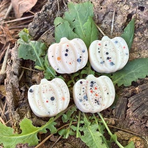 May include: Four white pumpkin-shaped wax melts with speckled accents of black, orange, and red. The melts are arranged on a bed of green leaves and a weathered wooden surface, evoking a fall theme.