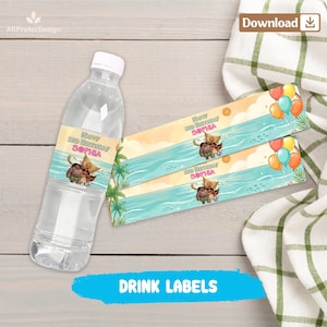 May include: A clear plastic water bottle with a custom label featuring a tropical beach scene, palm trees, colorful balloons, and the text Happy 3rd Birthday Sophia. Two additional matching rectangular labels are displayed next to the bottle.
