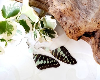 Black and Pale Green Butterfly Wing Earrings, Nature Earrings, Fairy Jewelry