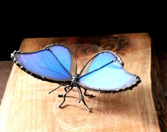 Blue Morpho Didius, Real Butterfly Wing Statuette, Butterfly Wing Decor, Table Top Butterfly