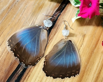 Real Blue Morpho Achilles Fagardii Butterfly Wing Earrings