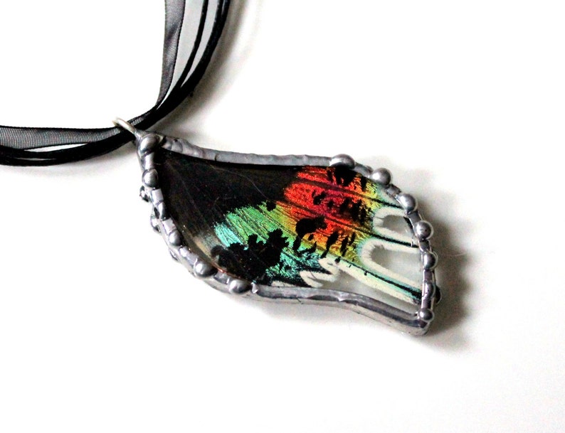 Madagascan Sunset Moth Pendant, Real Butterfly Jewelry image 3