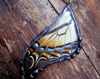 Real Butterfly Wing Pendant - Eastern Tiger Swallowtail