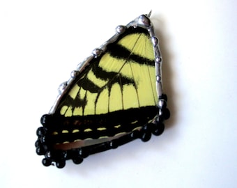 Real Butterfly Wing Pendant, Eastern Tiger Swallowtail