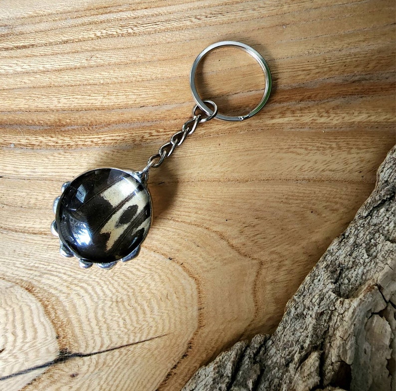 Keychain With Black Swallowtail Butterfly Wing image 3