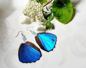 Blue Butterfly Earrings, Iridescent Butterfly Earrings, Real Blue Morpho Butterfly HindWing Earrings