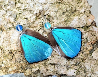 Blue Butterfly Wing Earrings with Blue Mermaid Glass Beads, Nature Earrings, Real Butterfly Earrings