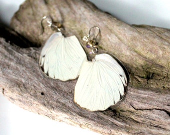 Great Orange Tip Butterfly Earrings, Real Butterfly Wing Earrings, Butterfly Jewelry