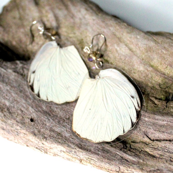 Great Orange Tip Butterfly Earrings, Real Butterfly Wing Earrings, Butterfly Jewelry