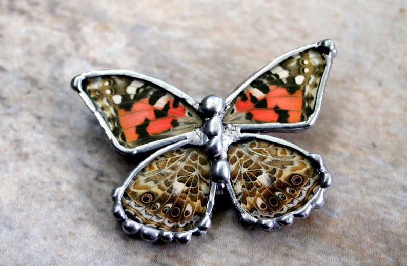 Painted Lady Butterfly Real Butterfly Necklace and Brooch