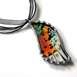 Madagascan Sunset Moth Pendant, Real Butterfly Jewelry image 1