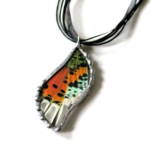 Madagascan Sunset Moth Pendant, Real Butterfly Jewelry image 2