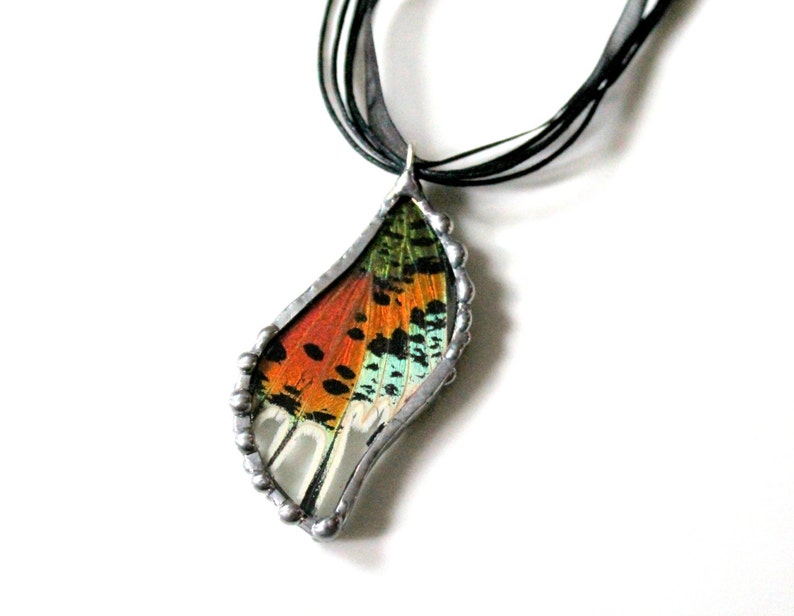 Madagascan Sunset Moth Pendant, Real Butterfly Jewelry image 2