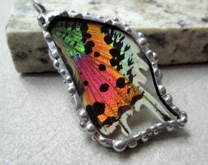 Real Butterfly Wing Jewelry Pendant Madagascan Sunset Moth Etsy