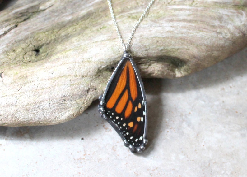 Real Monarch Butterfly Wing Pendant Real Butterfly Jewelry Etsy