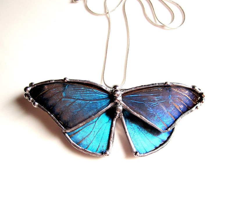 Real Blue Morpho Butterfly Necklace Etsy