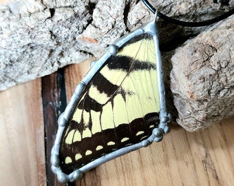 Real Butterfly Wing Pendant - Eastern Tiger Swallowtail