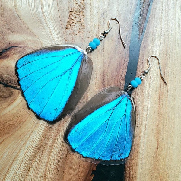 Blue Hindwing Butterfly Earrings, Real Butterfly Wing Earrings, Real Blue Butterfly Wing Earrings
