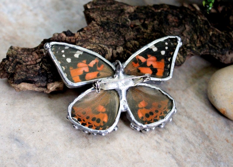 Painted Lady Butterfly Real Butterfly Necklace and Brooch