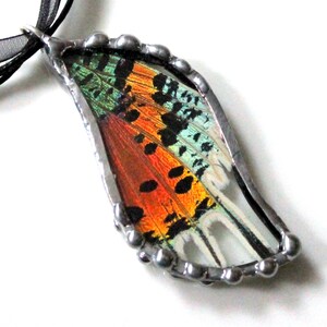 Madagascan Sunset Moth Pendant, Real Butterfly Jewelry image 4