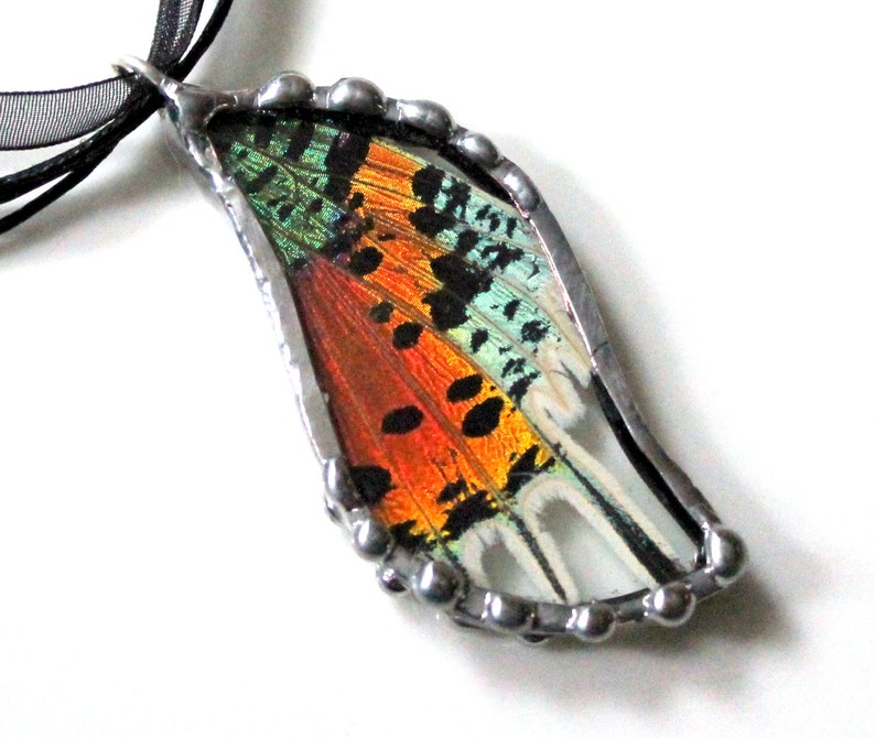 Madagascan Sunset Moth Pendant, Real Butterfly Jewelry image 4